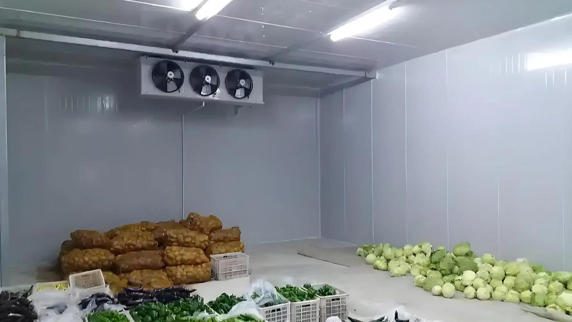 冷库设计：打造高效保鲜的温度守护